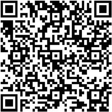 System-Einlage Leer System-Einlage-Kar-Carbon-670X463X54Mm