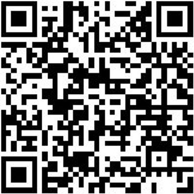 System-Einlage Leer Syseinlg-F.0965905415