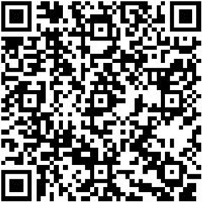 System-Sortiment Bestückt Wrkstwg-Hyundai-Werkzeugset-Optionspaket