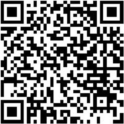 System-Sortiment Bestückt Zang-Sa-4Tlg