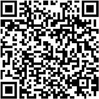 System-Sortiment Bestückt Shrdrh-Sa-Bmop-21Tlg