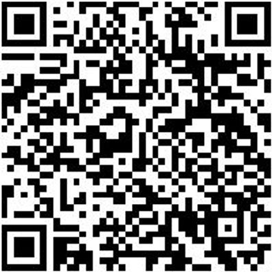 System-Sortiment Bestückt Steshsl-Sa-Gemischt-1/4 + 3/8Zo-91Tlg