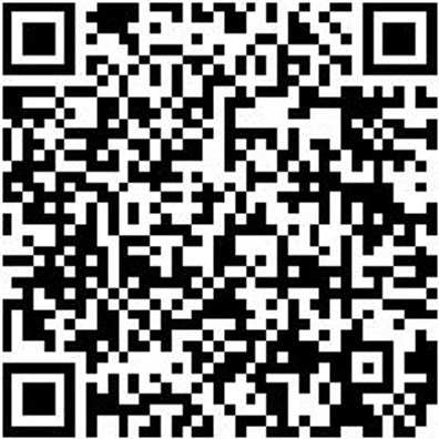 System-Sortiment Bestückt Sizang-Sa-Gemischt-4Tlg