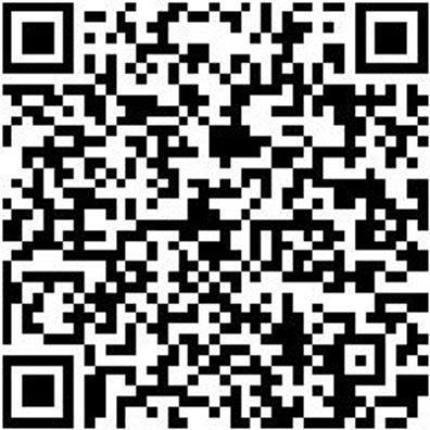 System-Sortiment Bestückt Feil/Schab-Sa-Gemischt-9Tlg