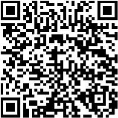 System-Sortiment Bestückt Shlgwzg/Feil-Sa-Mb-24Tlg