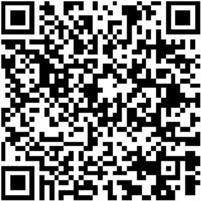 System-Sortiment Bestückt Shlgwzg-Sa-Dutreib/Meissel-13Tlg