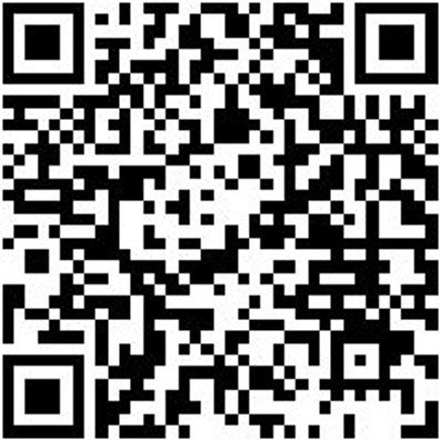 System-Sortiment Bestückt Bit-Sa-Gem-47Tlg