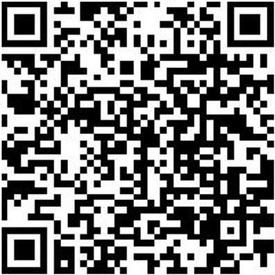 System-Sortiment Bestückt Sizang-Sa-25Tlg