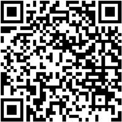 System-Sortiment Bestückt Zang-Sa-10Tlg