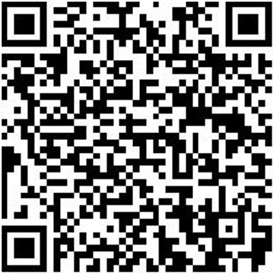 System-Sortiment Bestückt Sizang-Sa-Gd-4Tlg