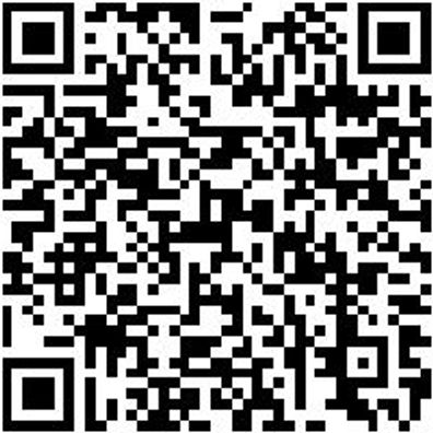 System-Sortiment Bestückt Sizang-Sa-Gbgn-4Tlg