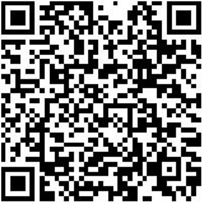 System-Sortiment Bestückt Wzg-Sa-Gem-19Tlg