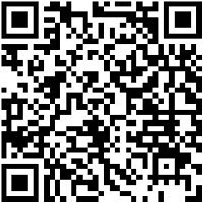 System-Sortiment Bestückt Zang-Sa-Vde-4.4.1-4Tlg