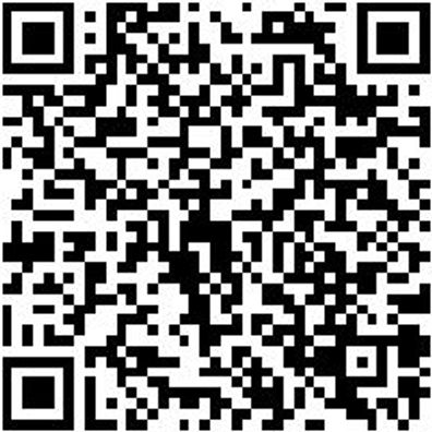 System-Sortiment Bestückt Pistshrdrh-Sa-4.4.1-37Tlg