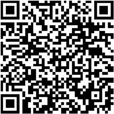 System-Sortiment Bestückt Einmaulschl-Satz-Vde-4.4.1-9Tlg