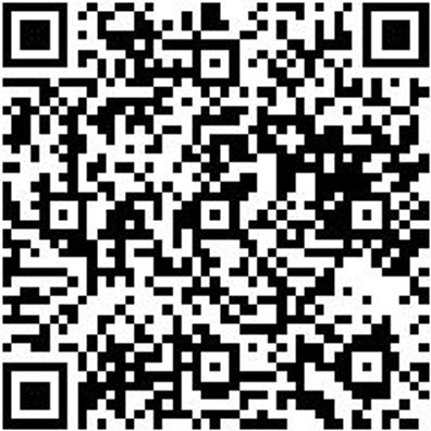 System-Sortiment Bestückt Steshsl-Sa-1/2Zo-12Kt-4.4.1-22Tlg