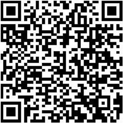 System-Sortiment Bestückt Shrdrh-Sa-25Tlg