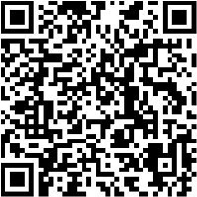 Universalabzieher Abzi-Uni-2Armig-Spnw250Mm