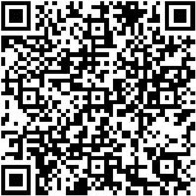 Universalabzieher Sortiment/Set Abzi-Uni-Set-Koffr