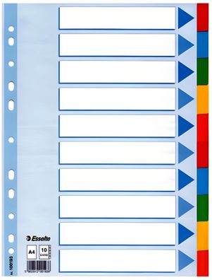 LEITZ Register blanko Karton A4 10Blatt weiß farbige Taben