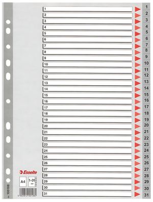LEITZ Register A4 131 grau PP FolieDeckblatt aus Kartonmit folien