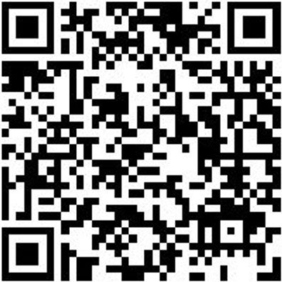 Vollsichtbrille Shtzbril-Taurus-Grau