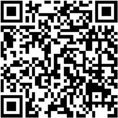 Warnschutz Arbeitslatzhose Latzhose Neon Orange/Grau 40