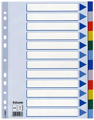 Esselte Register blanko A4 PP 12teilig + Deckblatt farbig