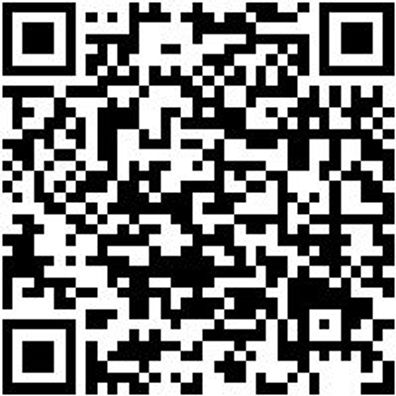 Warnschutzjacke Parka 3In1 Neon Gelb/Grau L