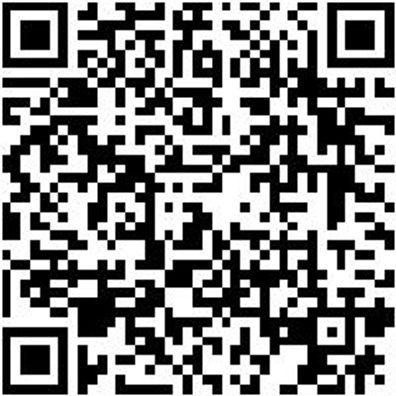 Warnschutzjacke Roeck Parka 3In1 Neon Gelb/Grau L