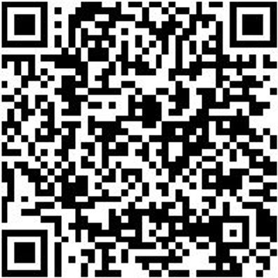 Warnschutz-Poloshirt Poloshirt Neon Orange/Grau Xs