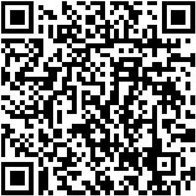 Wartungs-Set Knarre 3/8 Zoll Wart-Set-Knar-3/8Zo-Hblumsch-11Tlg