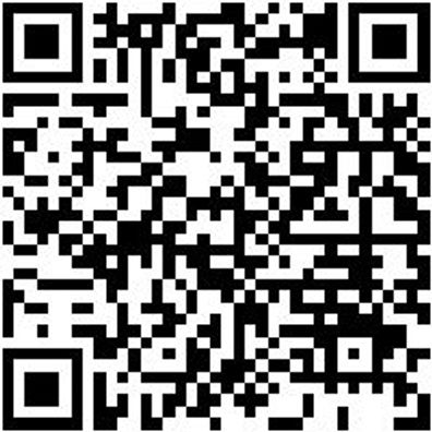 Wasserpumpenzange Wapumpzang-Selbstjust-250Mm