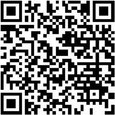 Wasserpumpenzange Wapumpzang-250Mm