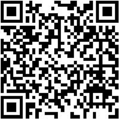 Stockermeißel Stockmsl-Hm-Max-L250-B40Mm