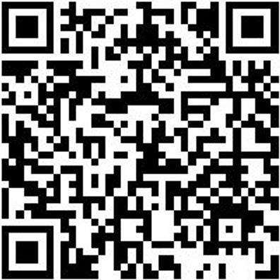 Werkstattfeile Wrkstfeil-Fl-H1-L150Mm