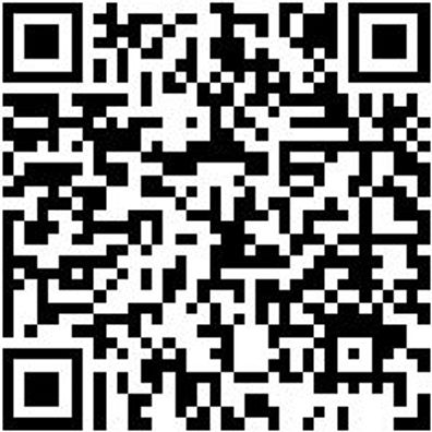 Werkstattfeile Wrkstfeil-Fl-H1-L200Mm