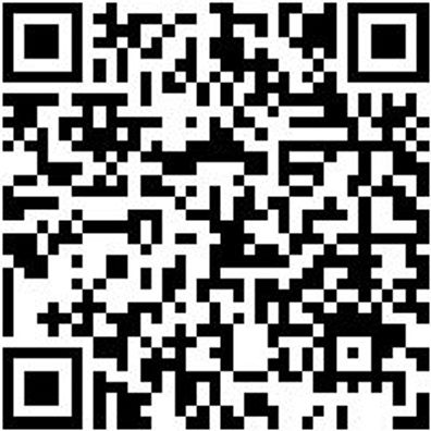 Werkstattfeile Wrkstfeil-Fl-H1-L250Mm