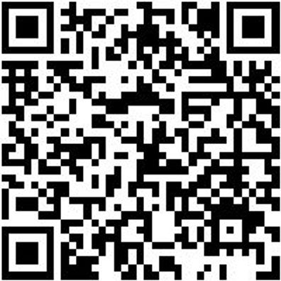 Werkstattfeile Wrkstfeil-Fl-H1-L300Mm