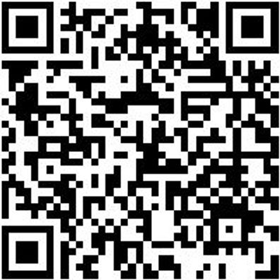 Werkstattfeile Wrkstfeil-Fl-H1-L350Mm