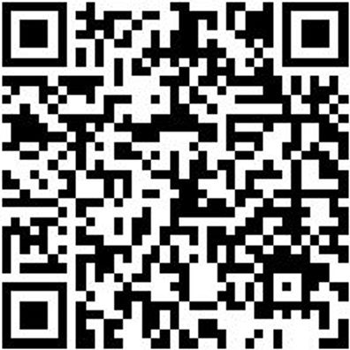 Werkstattfeile Wrkstfeil-Fl-H2-L150Mm