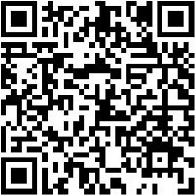 Werkstattfeile Wrkstfeil-Fl-H2-L300Mm