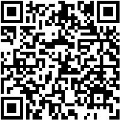 Werkstattfeile Wrkstfeil-Fl-H2-L350Mm