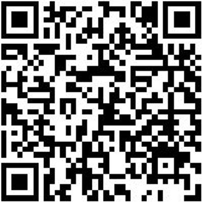 Werkstattfeile Wrkstfeil-Fl-H3-L150Mm