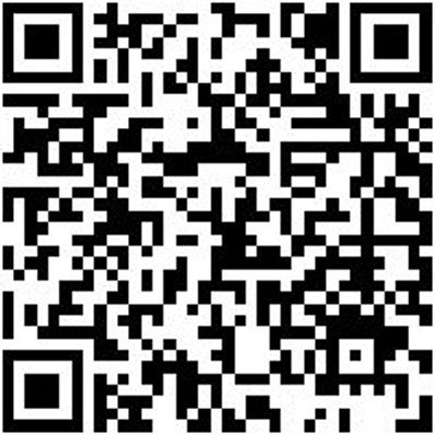 Werkstattfeile Wrkstfeil-Fl-H3-L200Mm