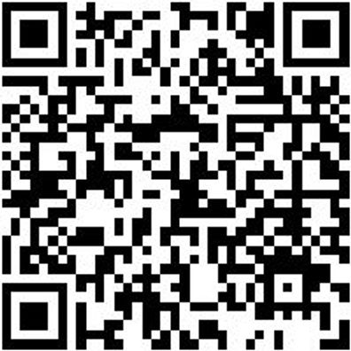 Werkstattfeile Wrkstfeil-Fl-H3-L250Mm