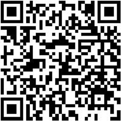 Werkstattfeile Wrkstfeil-Fl-H3-L300Mm