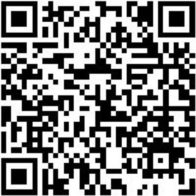 Werkstattfeile Wrkstfeil-Fl-H3-L350Mm