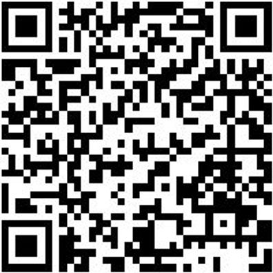 Werkstattfeile Wrkstfeil-3Kt-H1-L250Mm