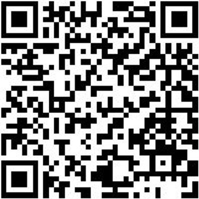 Werkstattfeile Wrkstfeil-3Kt-H2-L200Mm